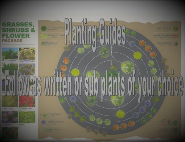 Pre-Planned Plantings ~ Planting Guides ~ Digital Product ~
